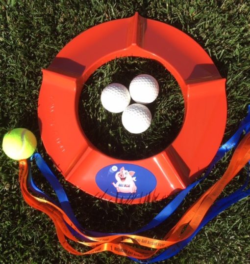 Ball HOG Training Wheel | Golf Verified